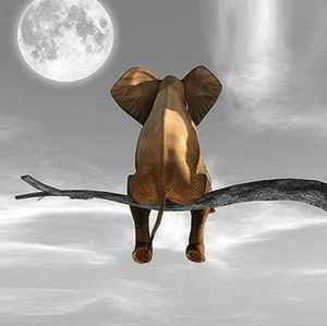 Meet your Posher, Péter